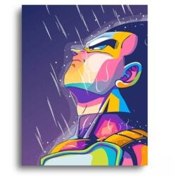 Dragon Ball: Vegeta Sky Fall