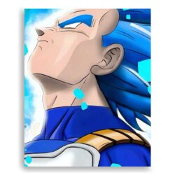 Dragon Ball Z: Vegeta Blue Pride
